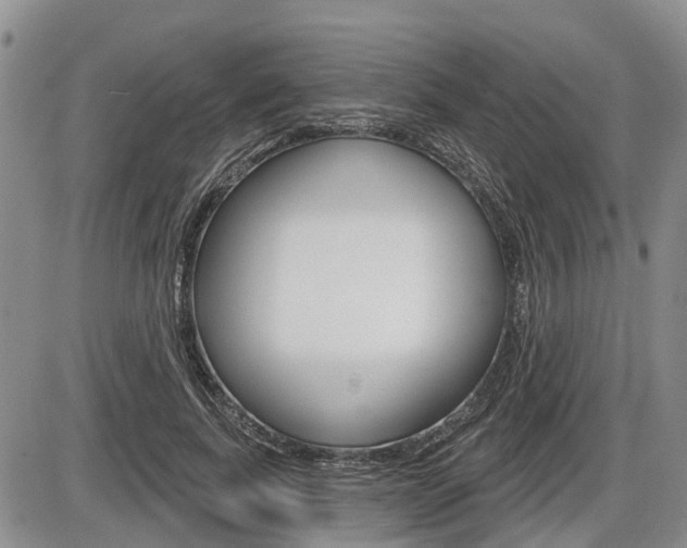 X0000086100739200703231050