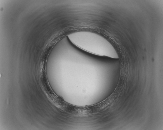 X0000086100742200703231050