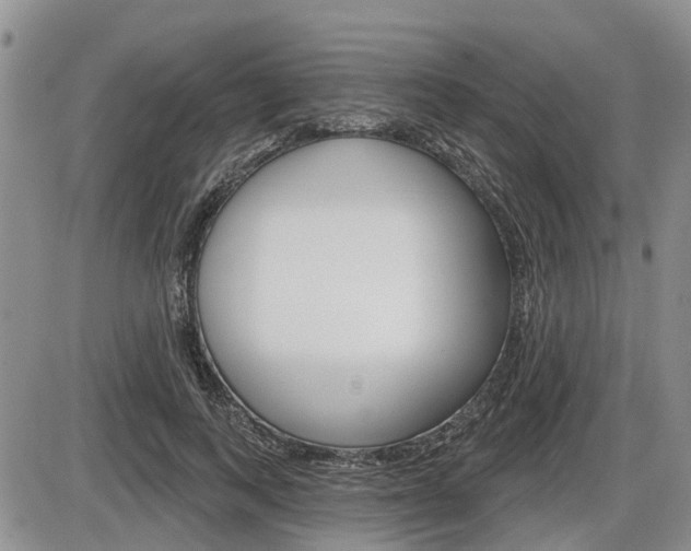 X0000086100743200703231050