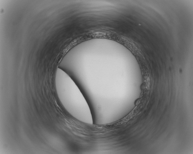 X0000086100753200703231050