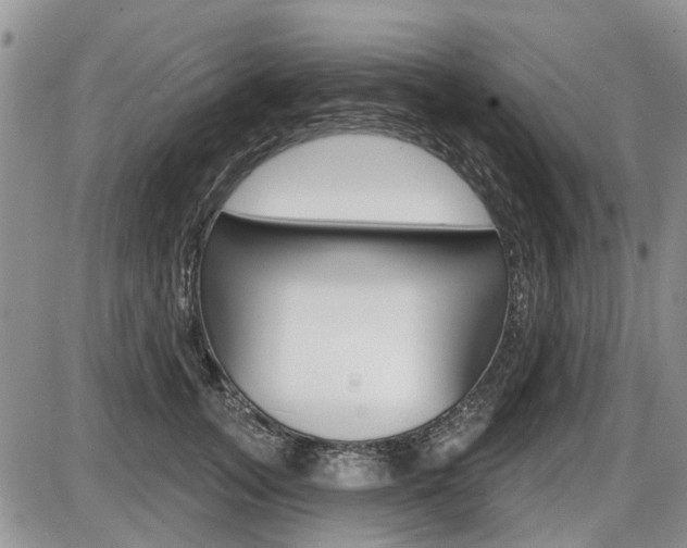 X0000086100755200703231050