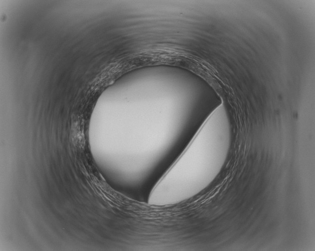 X0000086100771200703231050