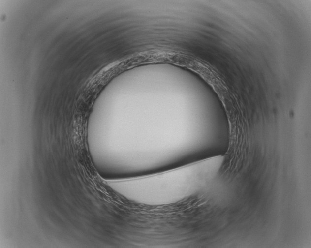 X0000086100773200703231050