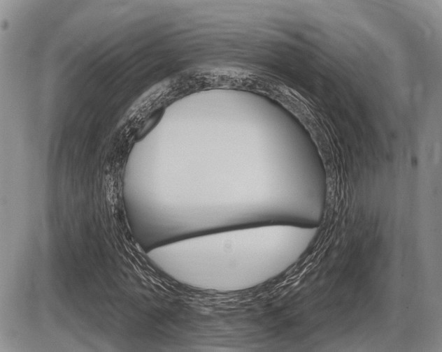 X0000086100774200703231050