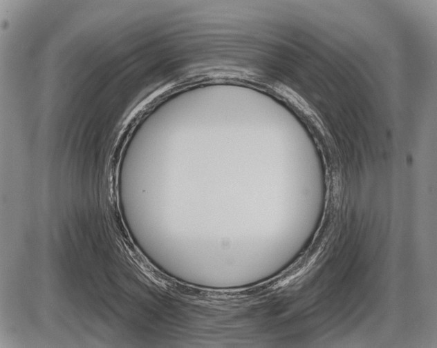 X0000086100782200703231049