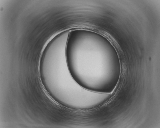 X0000086100788200703231049
