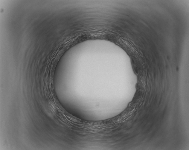 X0000086100817200703231048