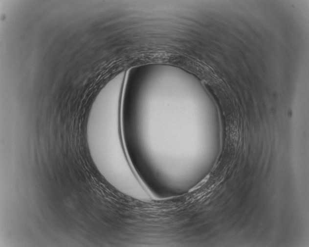X0000086100818200703231048
