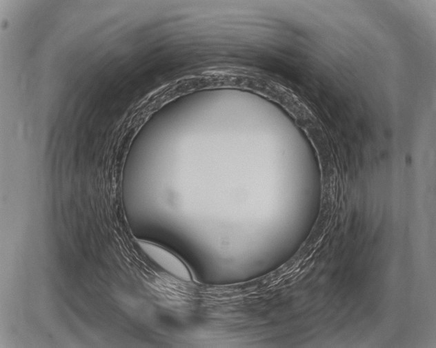 X0000086100821200703231048