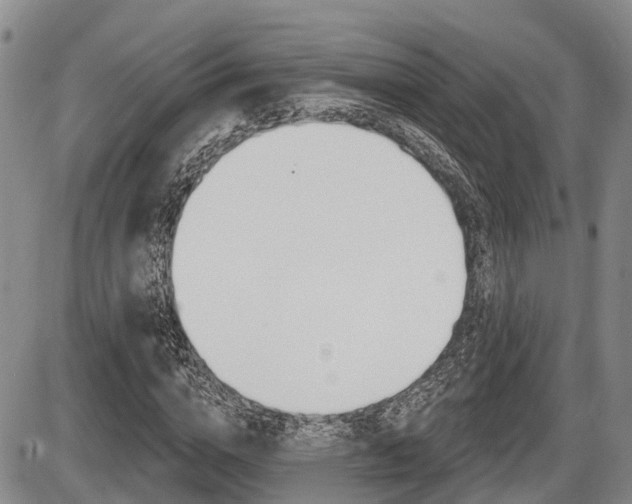 X0000086100824200703231048