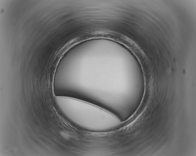 X0000086100825200703231048