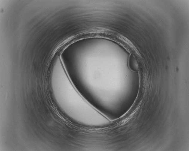 X0000086100826200703231048