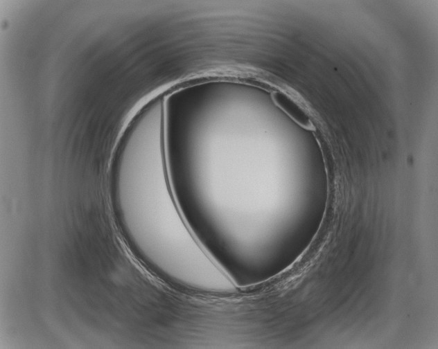 X0000086100838200703231048