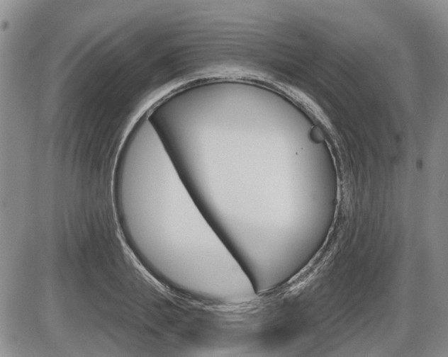 X0000086100839200703231048