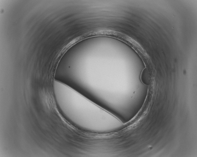 X0000086100841200703231048