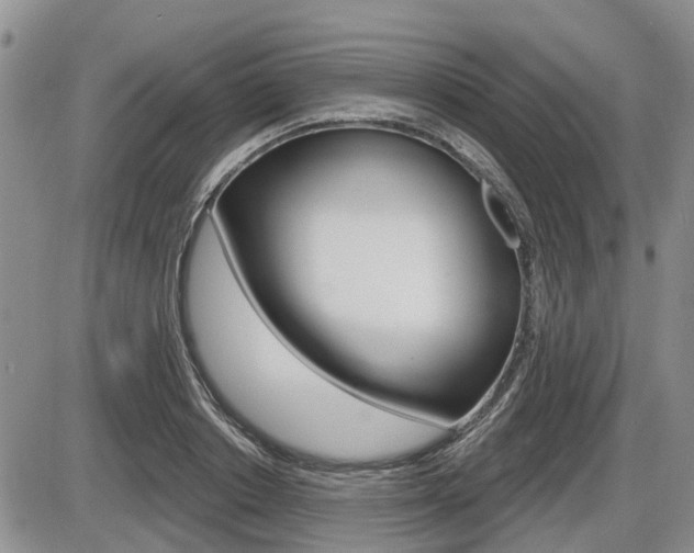 X0000086100842200703231048