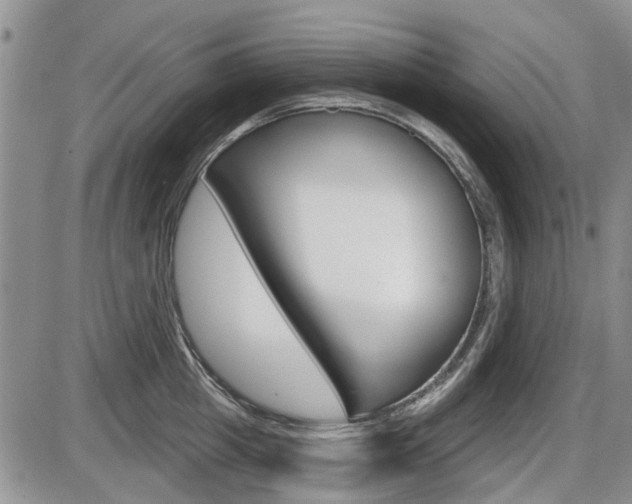 X0000086100857200703231049