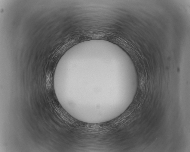 X0000086100866200703231048
