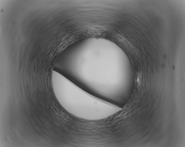 X0000086100867200703231048
