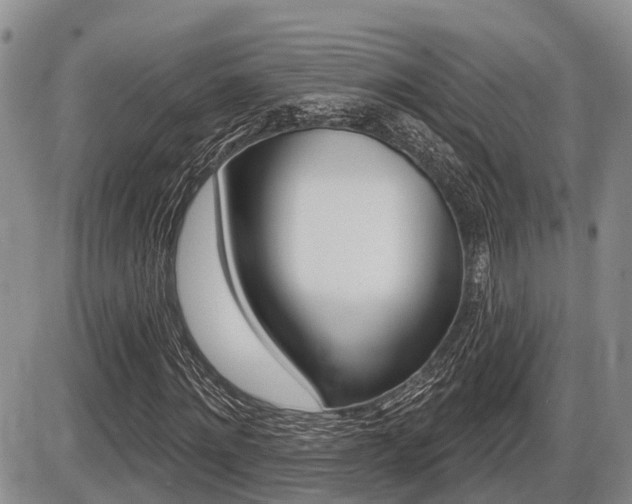 X0000086100868200703231048
