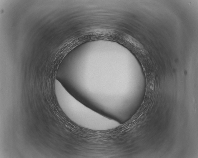 X0000086100869200703231048
