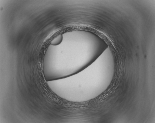 X0000086100871200703231048