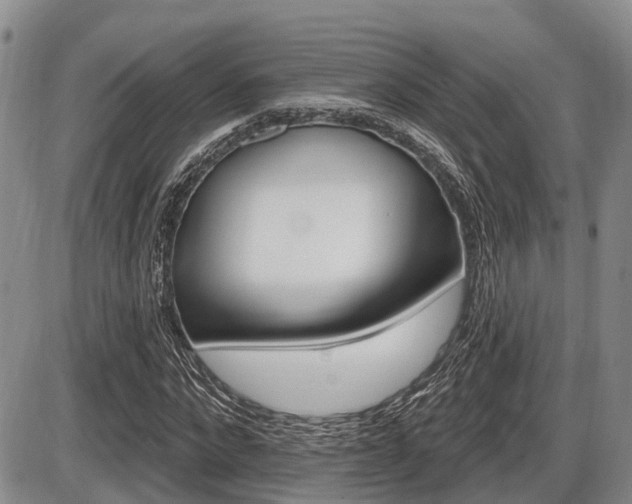 X0000086100872200703231048