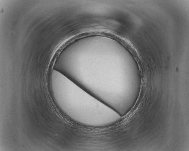 X0000086100879200703231048