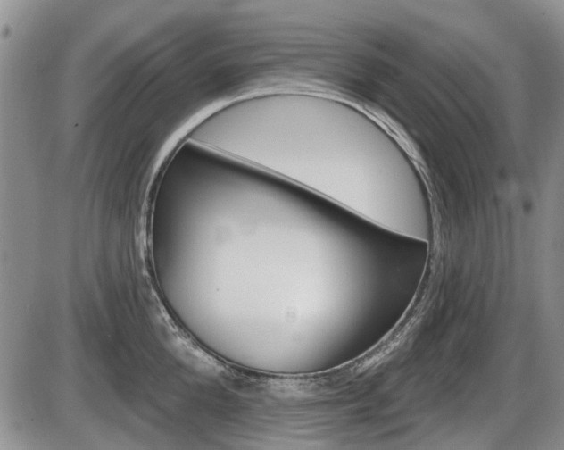 X0000086100904200703231047