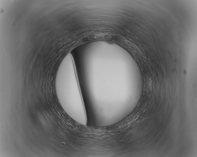 X0000086100914200703231046