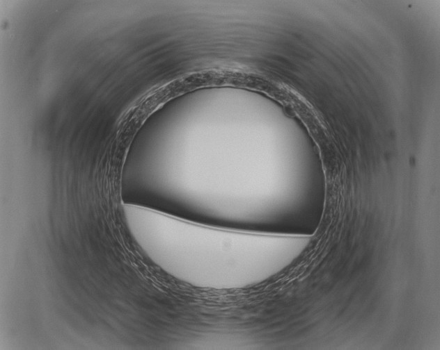 X0000086100919200703231047