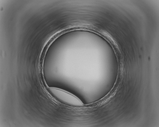 X0000086100924200703231047