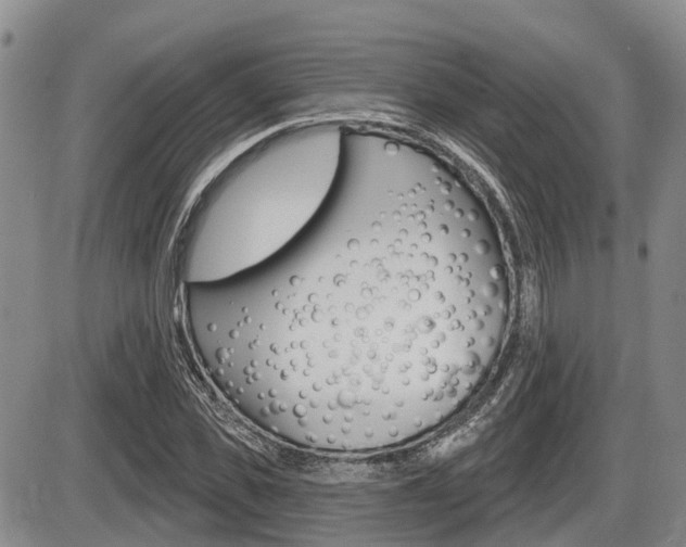 X0000086100925200703231047
