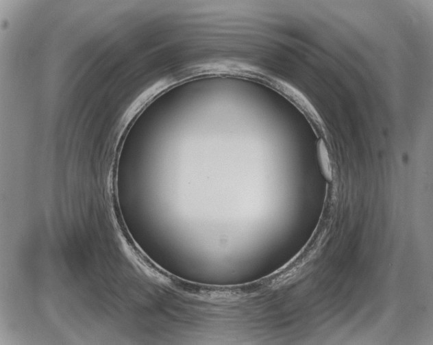 X0000086100946200703231047