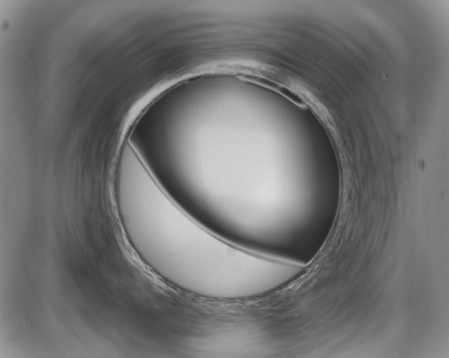 X0000086100960200703231047