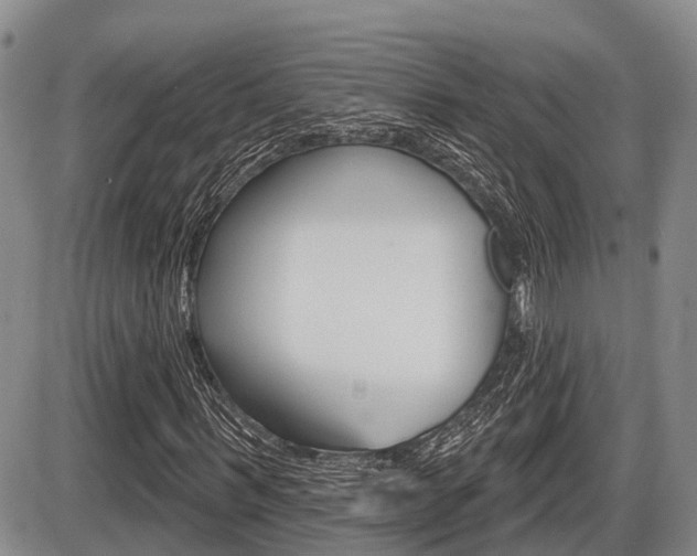 X0000086100963200703231046