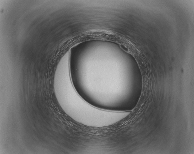 X0000086100965200703231046
