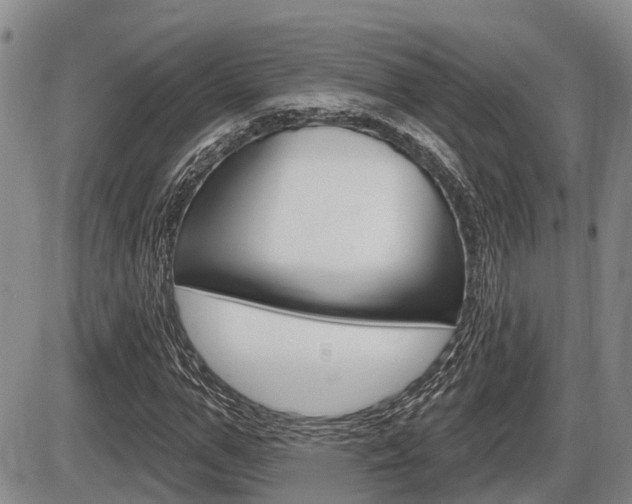 X0000086100967200703231046