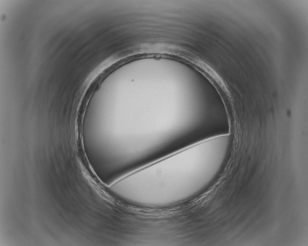 X0000086100980200703231046