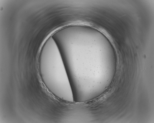 X0000086101008200703231046