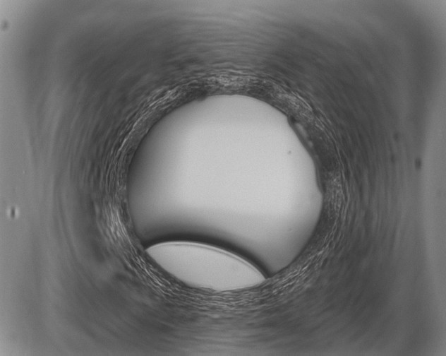 X0000086101009200703231045