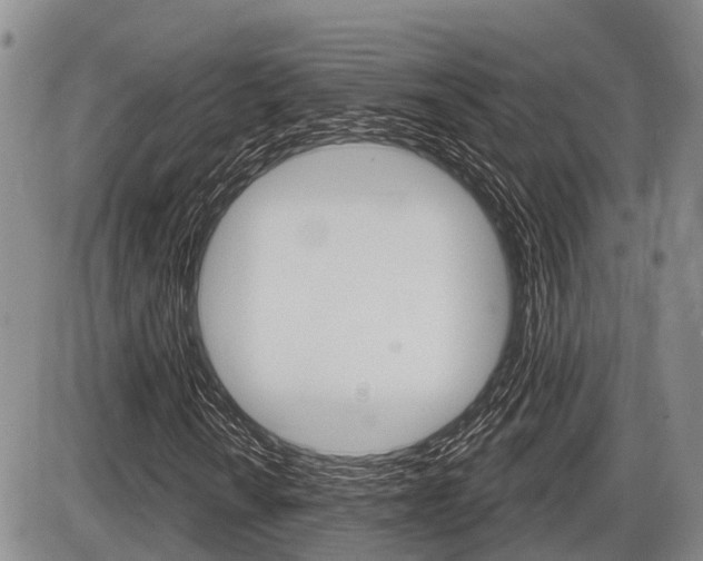 X0000086101010200703231045