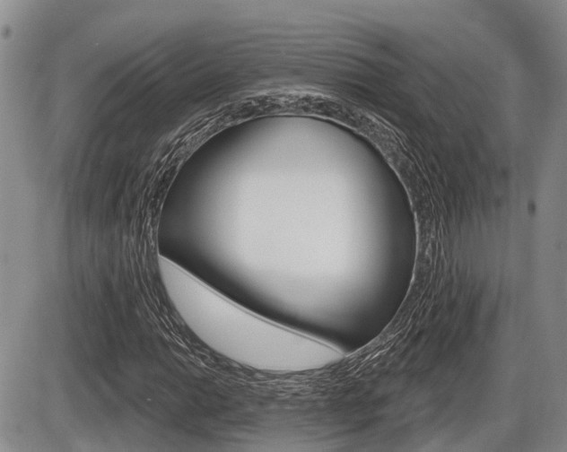 X0000086101014200703231045