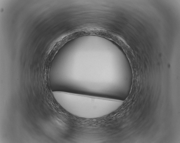 X0000086101016200703231045