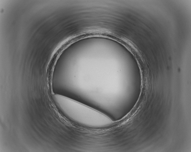 X0000086101022200703231045