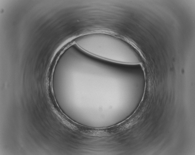 X0000086101024200703231045
