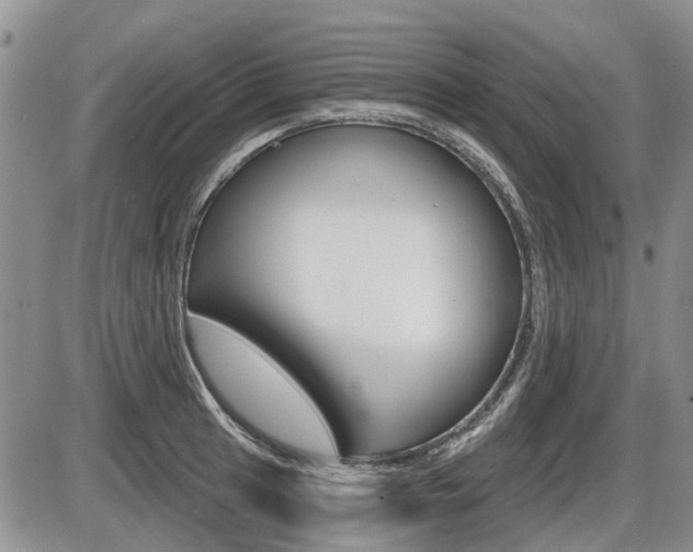 X0000086101041200703231045