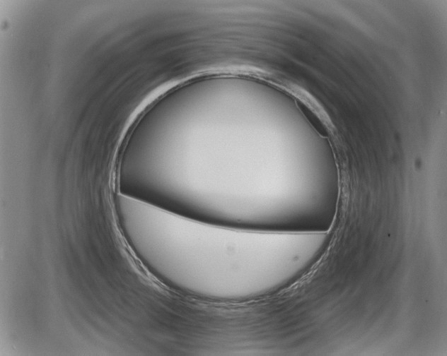 X0000086101044200703231045