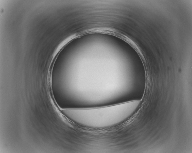 X0000086101050200703231045