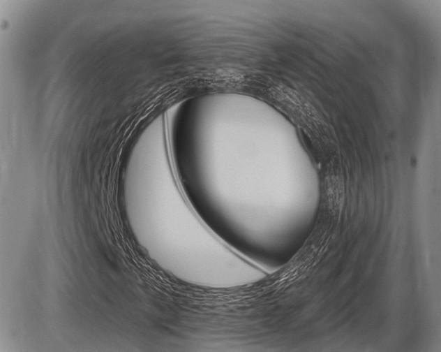 X0000086101057200703231045